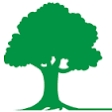 Meža kooperatīvs “L.V.Mežs” uzsāk jauna pakalpojuma sniegšanu