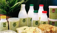 Bioloģiskā piena pārstrādes kooperatīvs ''Viļāni'' piedāvā plašu produkciju ar zīmolu ''Bryunaļa''