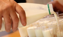 Nepieciešama piena ražošanas nozares attīstības programma