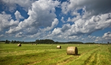 Pazemināti lauksaimniecības zemes iegādes procenti sabiedrībā ALTUM