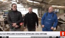 Svaigpienam straujš iepirkuma cenas kritums, bet veikalos lētāku cenu nebūšot